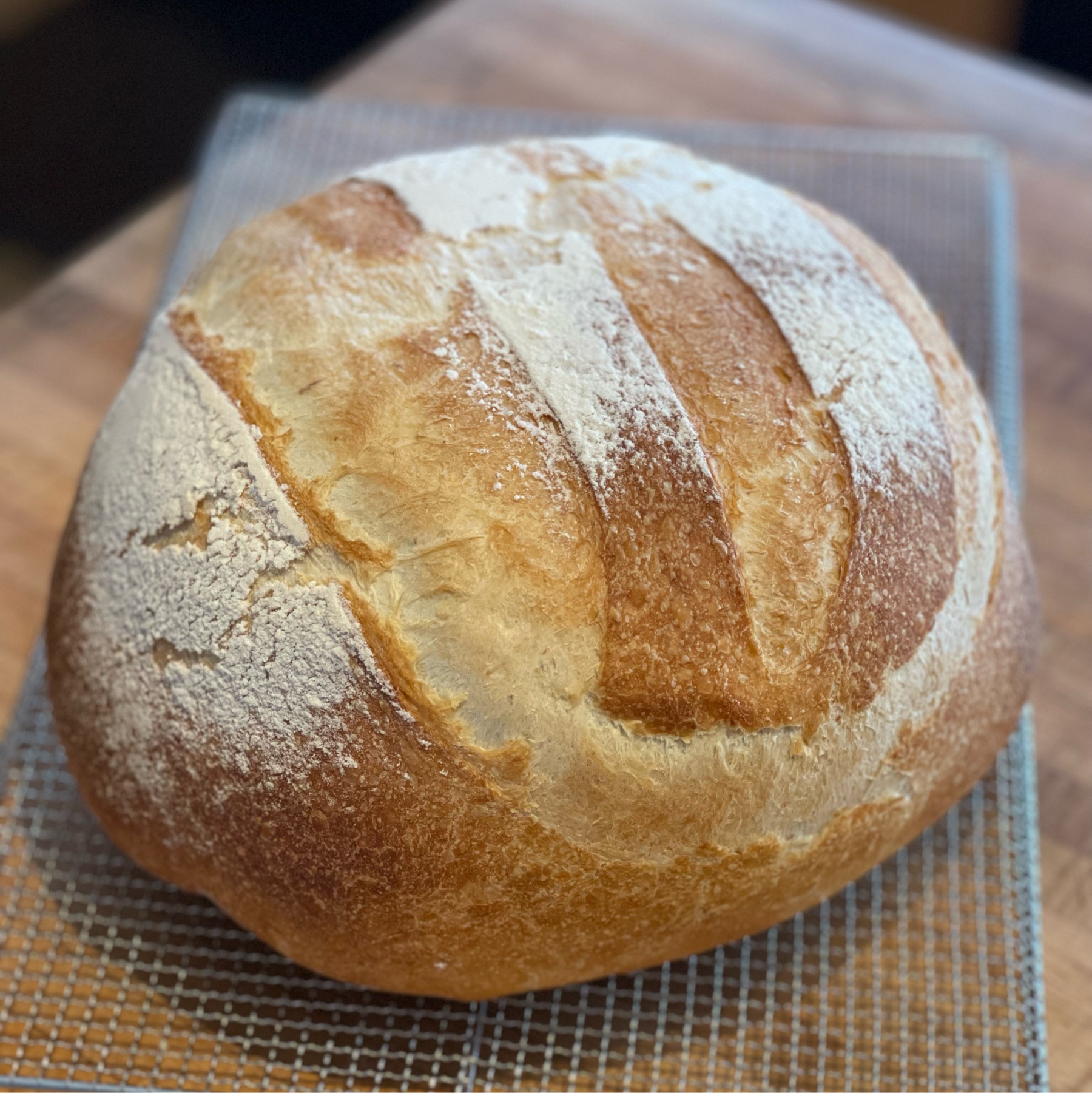freshly baked boule of bread cooling on the counter