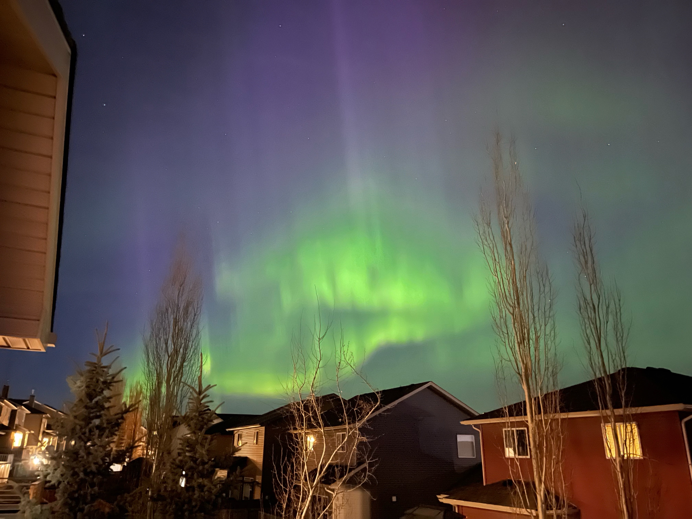 Aurora borealis in the northern sky of calgary alberta canada. 